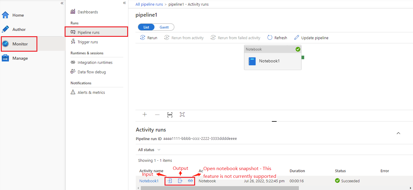 Screenshot of the input and output for a Notebook activity.