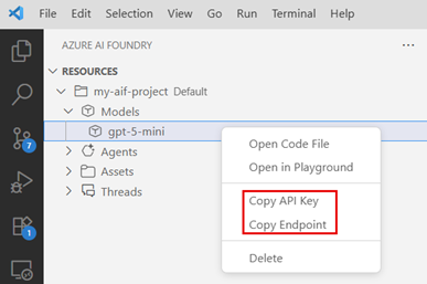 Screenshot showing the context menu for the deployed model with the Copy endpoint and Copy API key options highlighted.