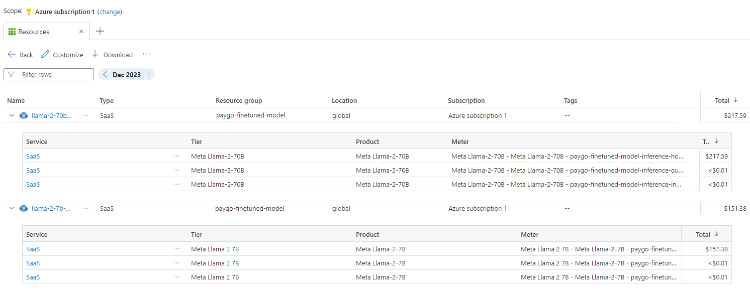 A screenshot showing different resources corresponding to different model offers and their associated meters.