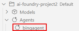 Screenshot of a deployed agent in the Azure Resources view.