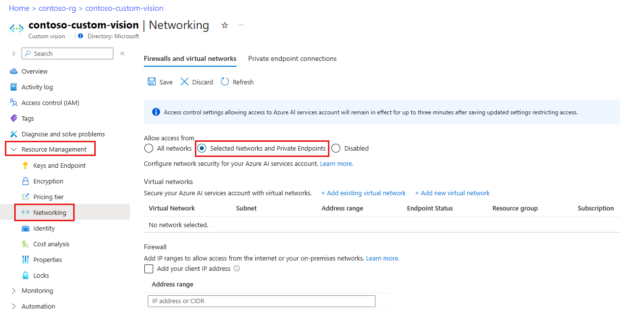 Screenshot shows the Networking page with Selected Networks and Private Endpoints selected.