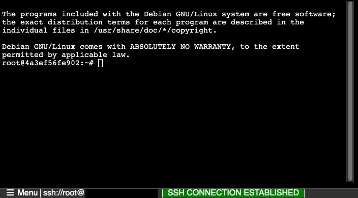 Screenshot showing an SSH session with a custom container.