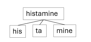 Diagram that shows the word histogram broken down into the following subwords: his, ta, and mine.