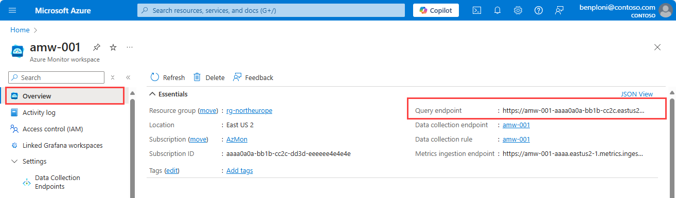 Screenshot that shows the query endpoint URL for an Azure Monitor workspace.