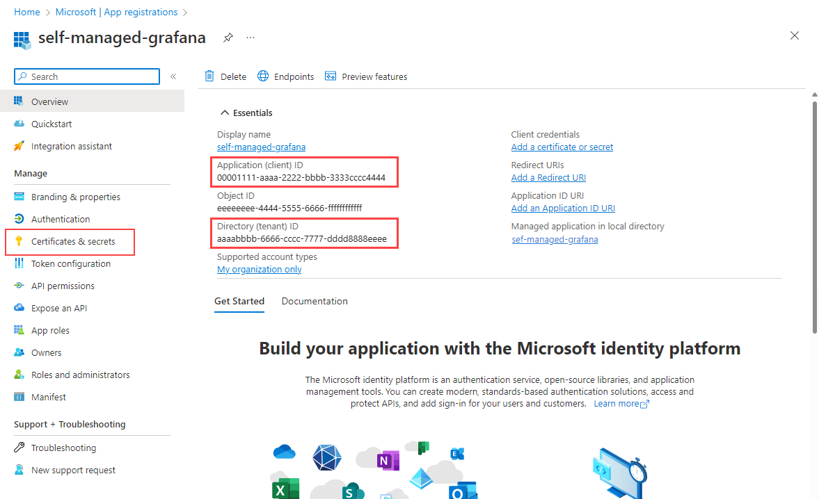 Screenshot that shows the App registration overview page.