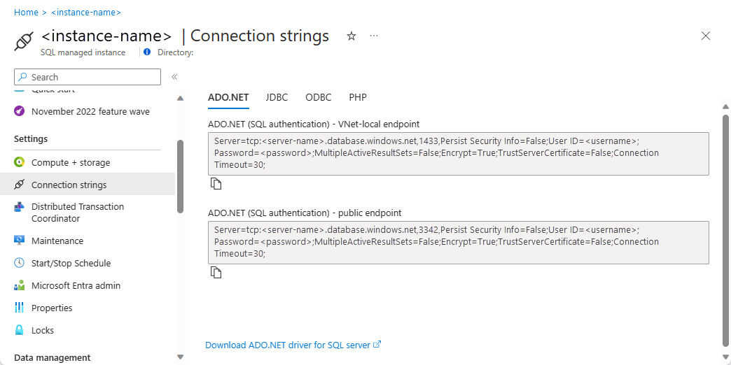 Screenshot shows the connection strings for your public and VNet-local endpoints.