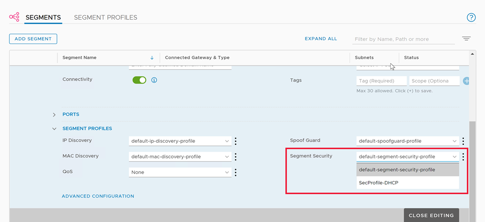 Screenshot of the Segment Security field.