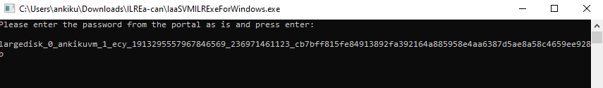 Screenshot shows the executable output for file restore from VM.