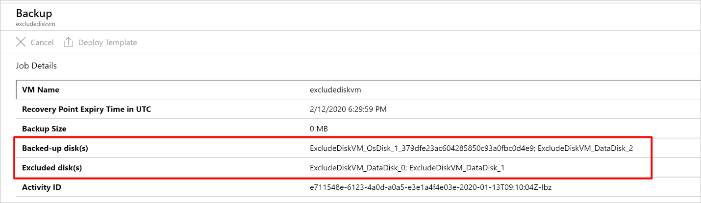 Screenshot that shows the included and excluded disks on the Job Details pane.