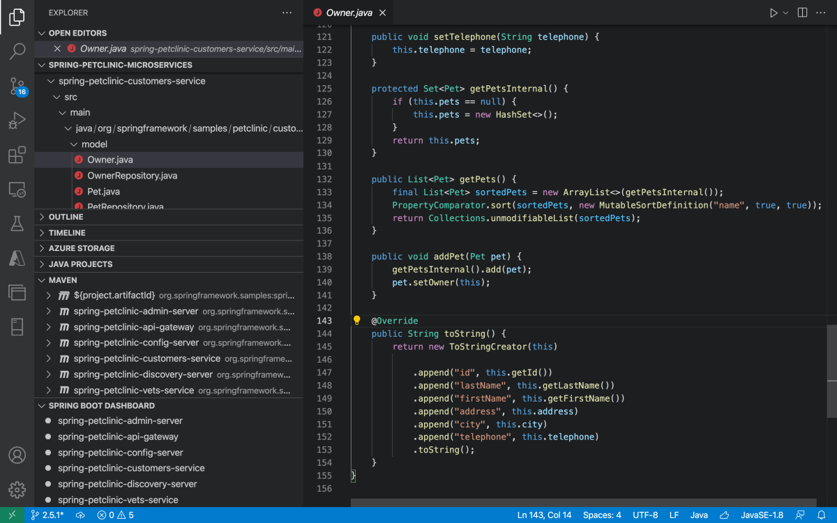 Screenshot of Visual Studio Code that shows a Java file and sidebar pane.
