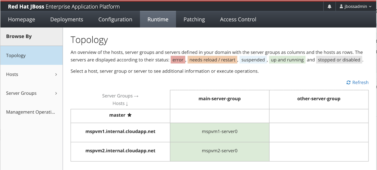 Screenshot of the Red Hat JBoss Enterprise Application Platform that shows the Runtime tab and the Topology pane with all hosts.