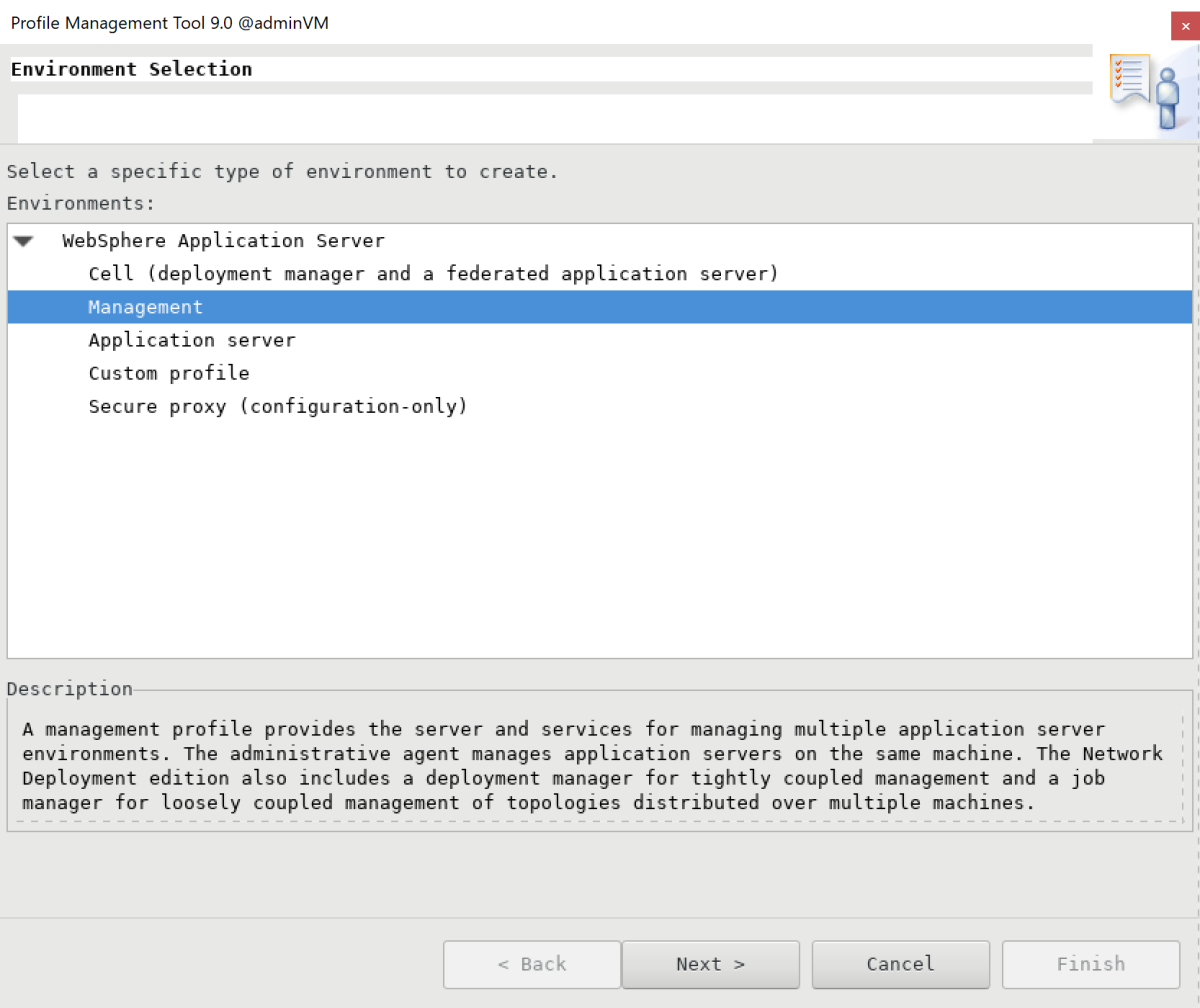Screenshot of the Environment Selection pane in the IBM Profile Management Tool.