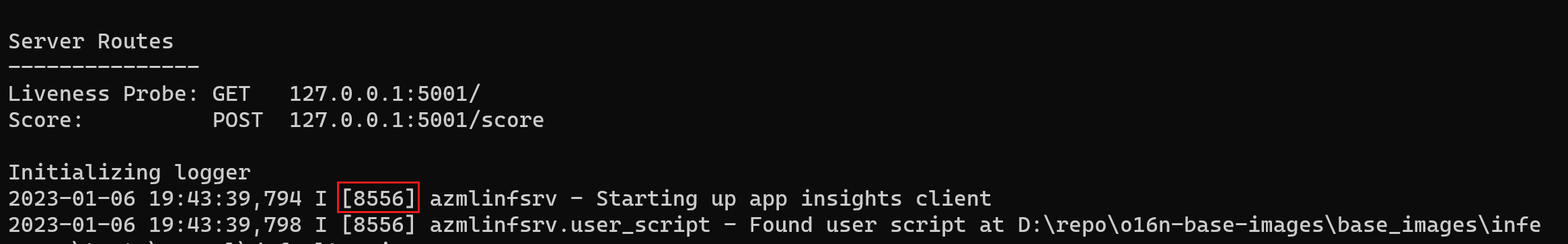 Screenshot of a command window that shows inference server logs. In one log statement, the process ID of the azmlinfsrv command is highlighted.