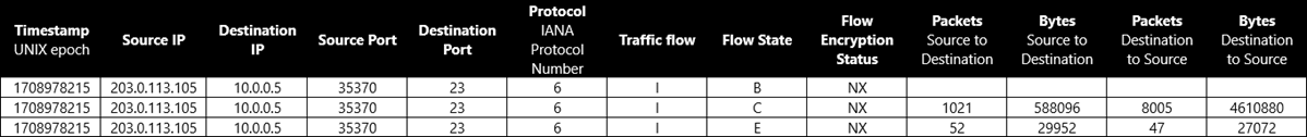 Table that shows the format of a virtual network flow log.