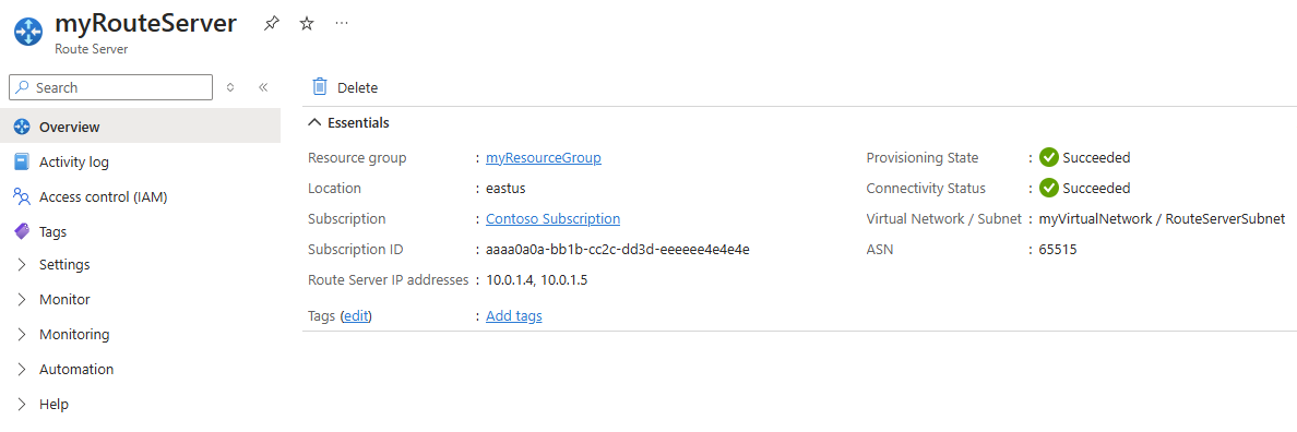 Screenshot that shows the Overview page of a route server.