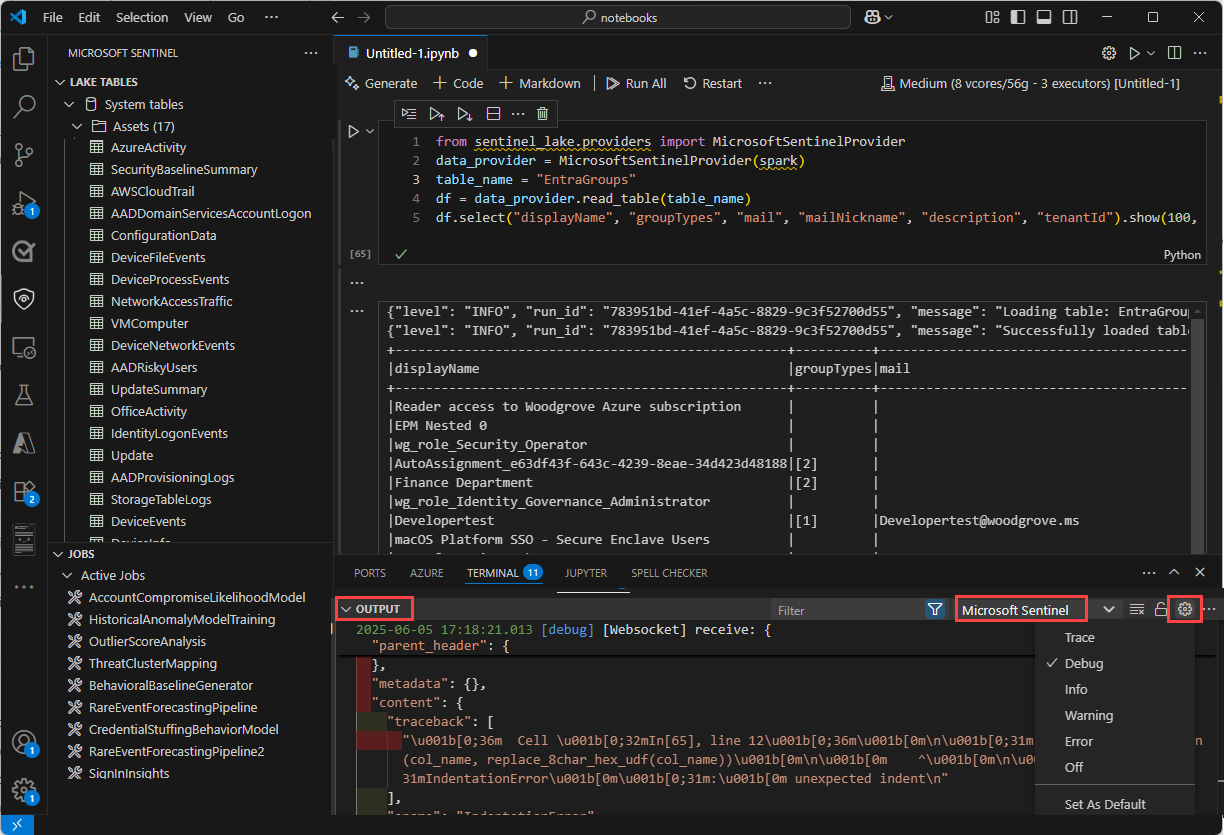 A screenshot showing the output pane.