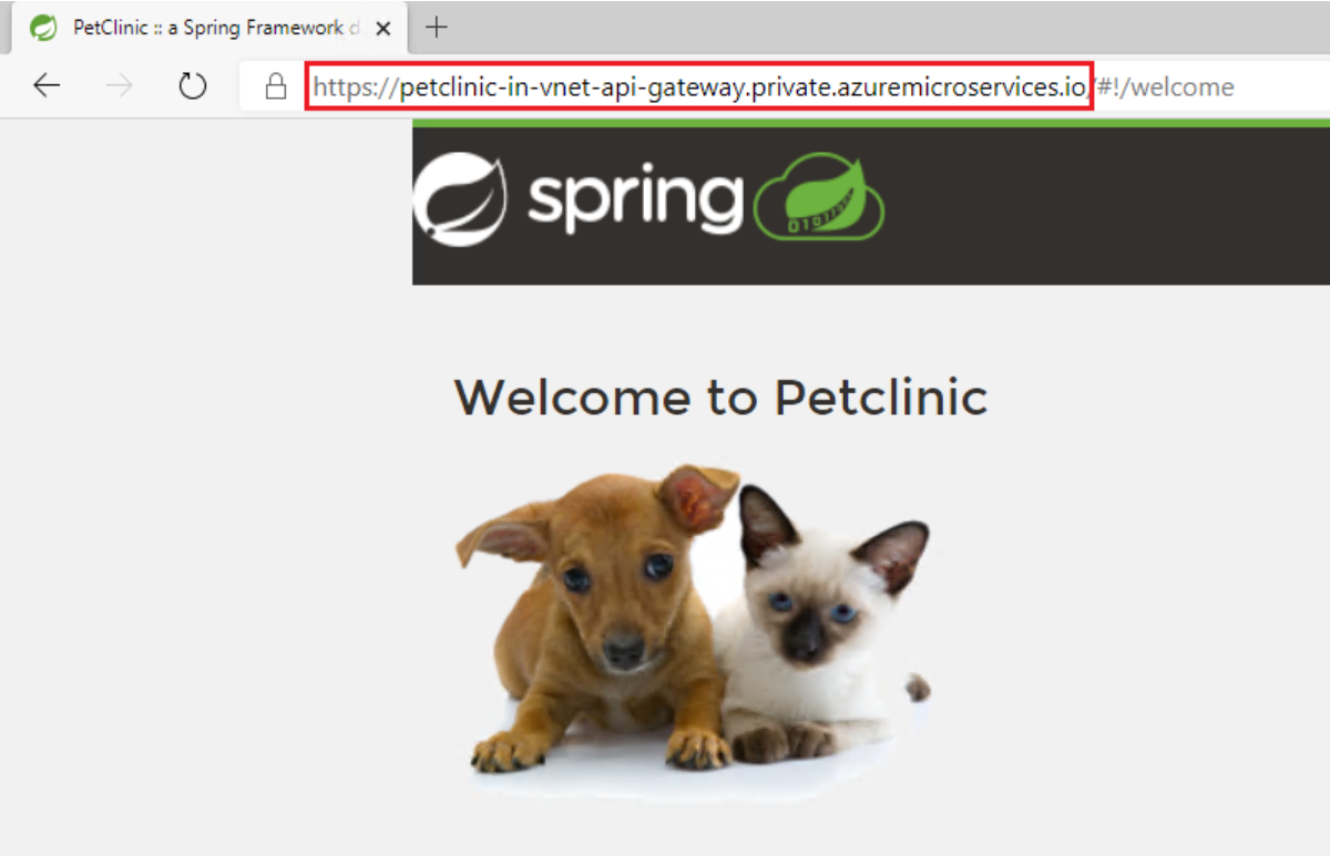 Screenshot of the sample application in a browser window with the private FQDN highlighted in the URL.