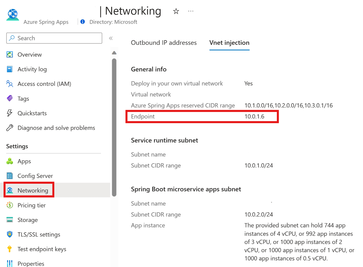 Screenshot of the Azure portal that shows the Vnet injection Endpoint information.