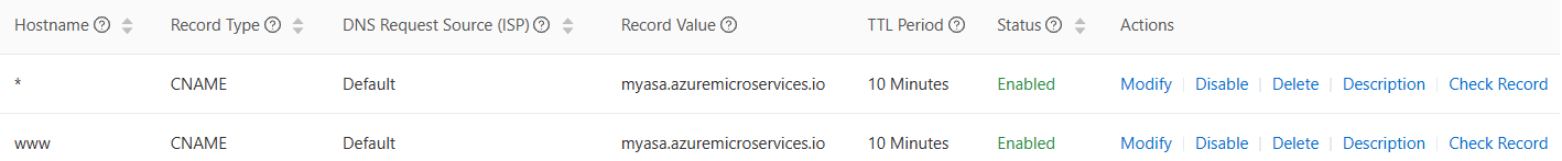 Screenshot of the DNS records page that shows the Azure Spring Apps instance.