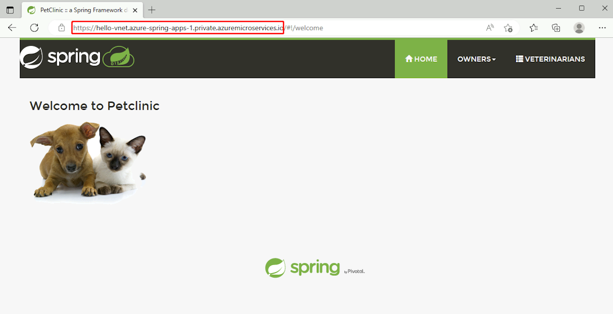 Screenshot of a Spring application accessed by a URL using a custom domain.
