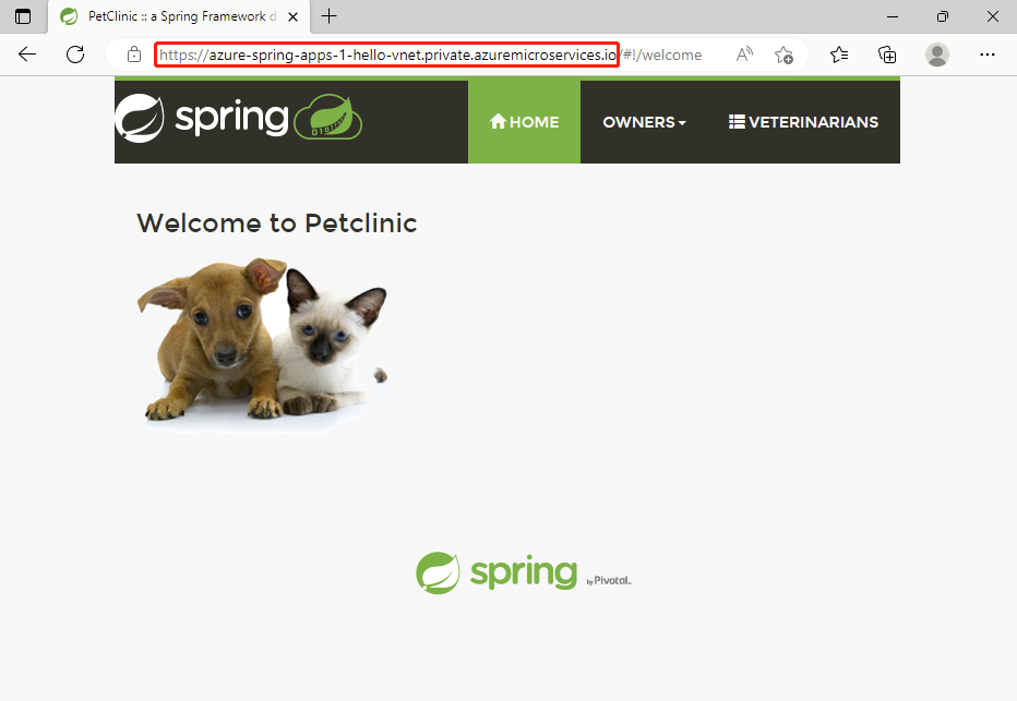 Screenshot of a Spring application accessed by a URL using an FQDN.