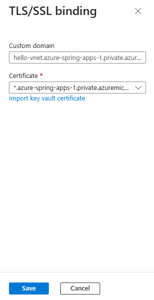 Screenshot of the Azure portal showing the TLS/SSL binding pane on the Custom domain page for an app.