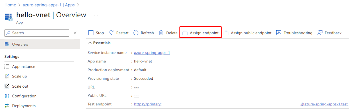 Screenshot of the Azure portal showing the Overview page for an app with Assign endpoint highlighted.