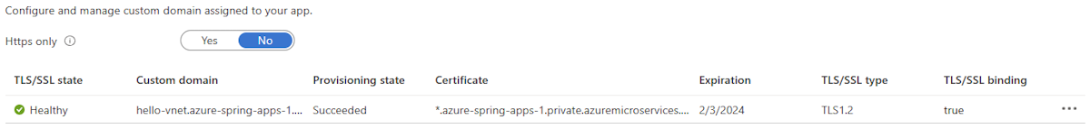 Screenshot of the Azure portal showing a custom domain in a healthy state on the Custom domain page.