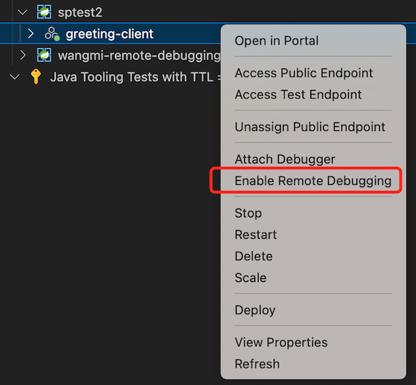 Screenshot of the IntelliJ project explorer that shows the Enable Remote Debugging menu option.
