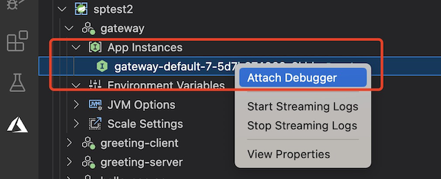 Screenshot of the IntelliJ project explorer that shows the Attach Debugger menu option.