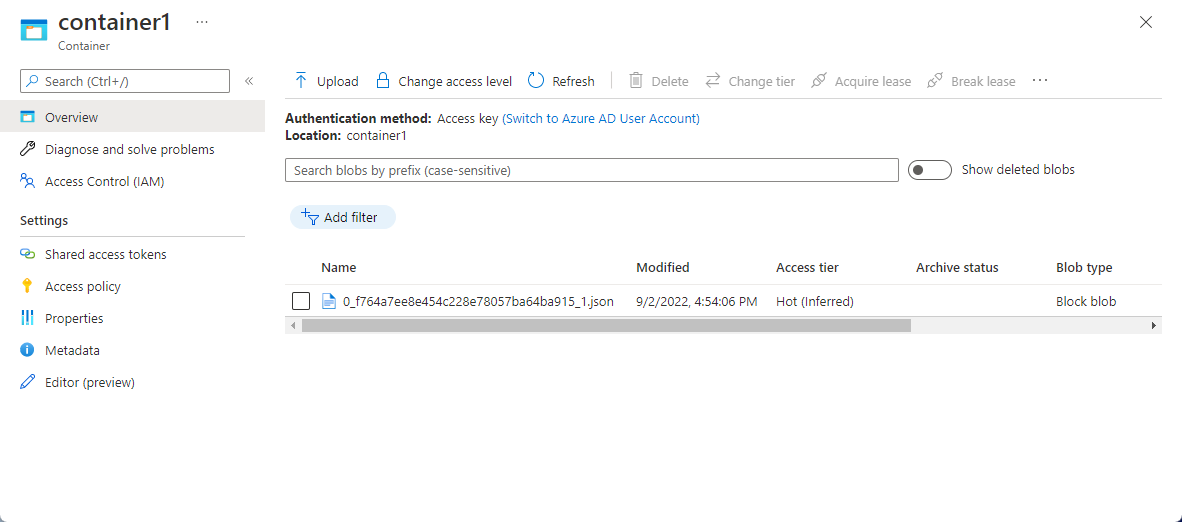 Screenshot showing the **Container** page with the sample output file.