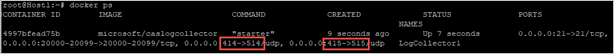 Screenshot of a customized run command.
