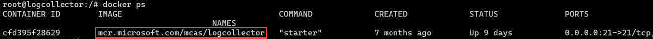 Screenshot of the Docker container running.