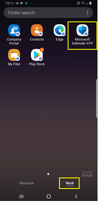 The application display pane