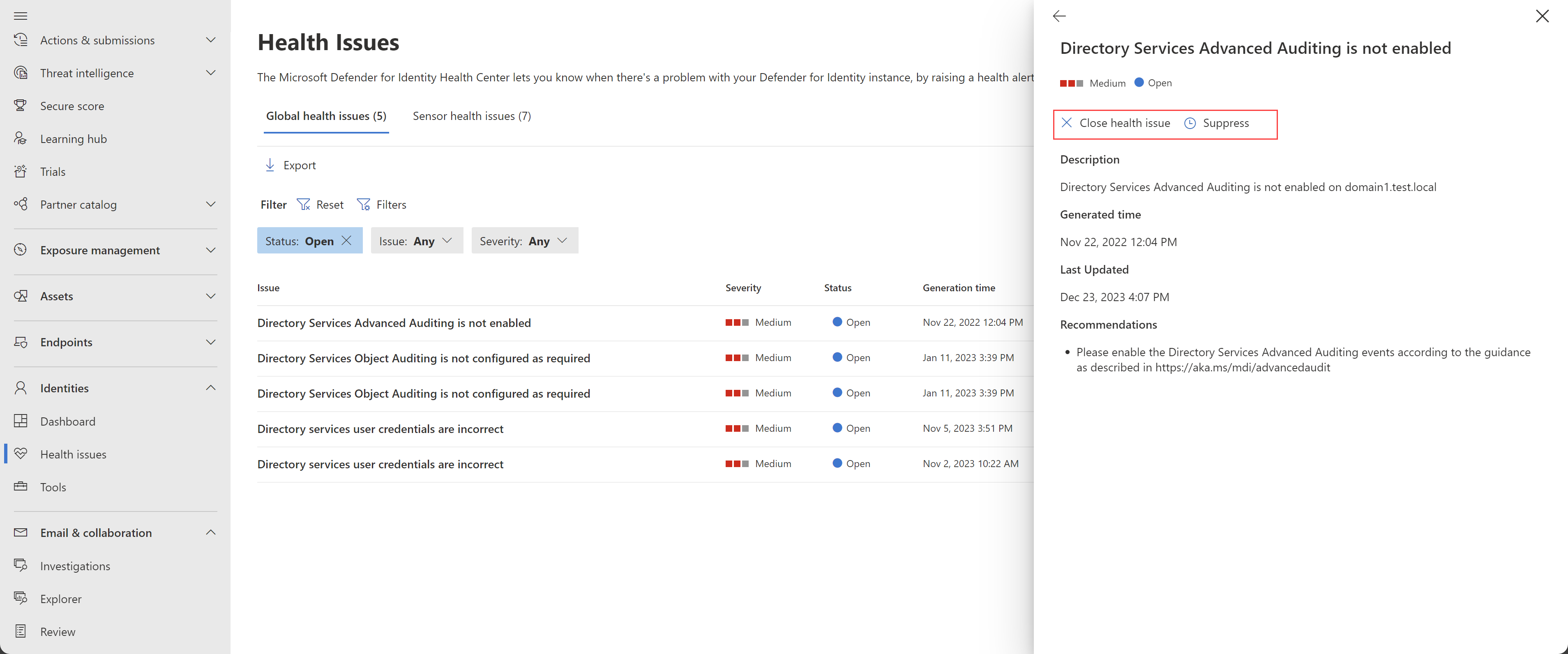 Screenshot of a health issue details pane.