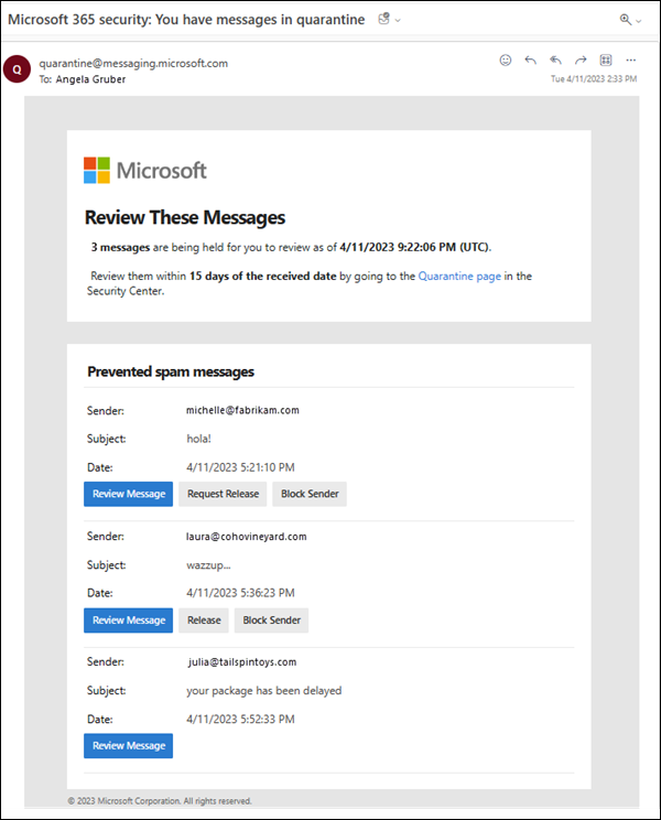 A sample quarantine notification.