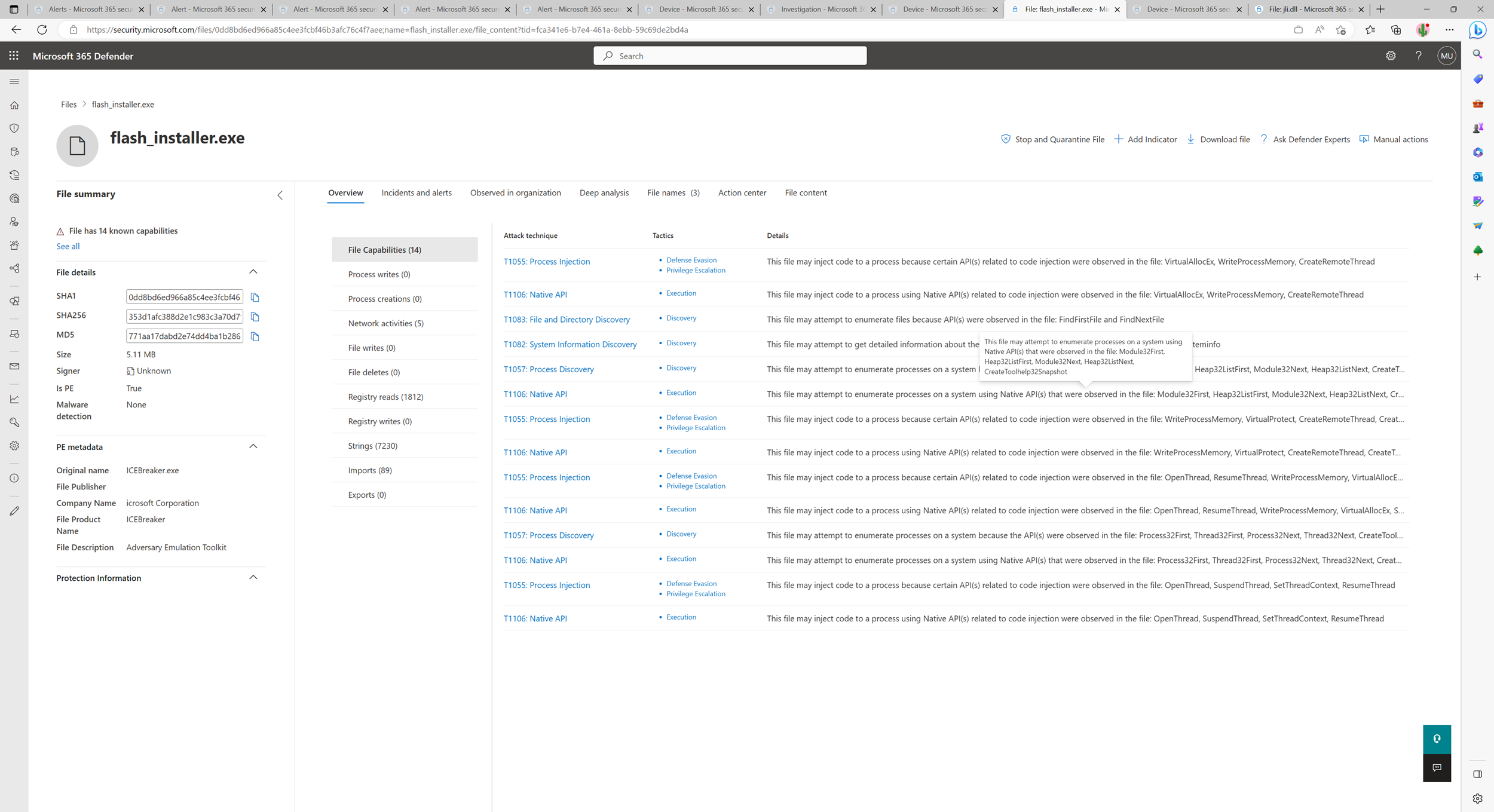 Screenshot of a file's capabilities