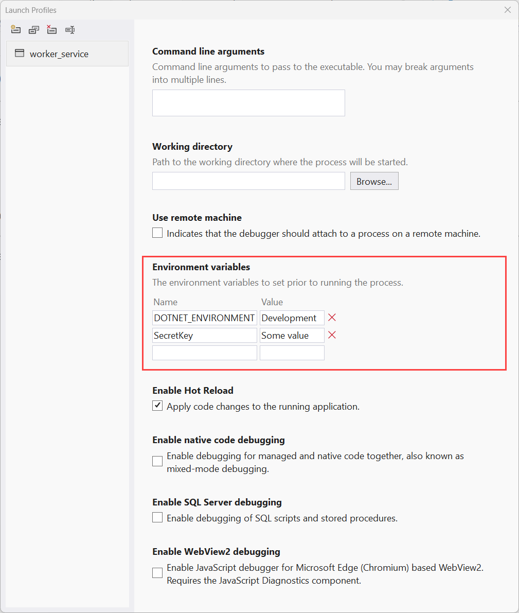 Launch Profiles dialog showing environment variables