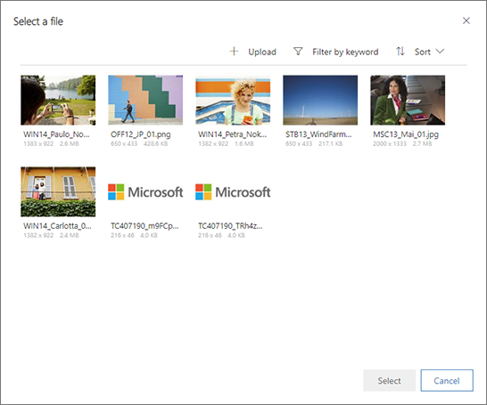 The image library browser The image library browser.