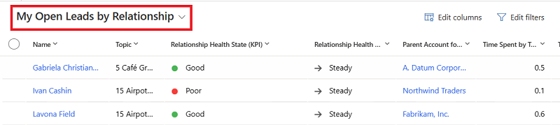 Screenshot of the My Open Leads by Relationship view.