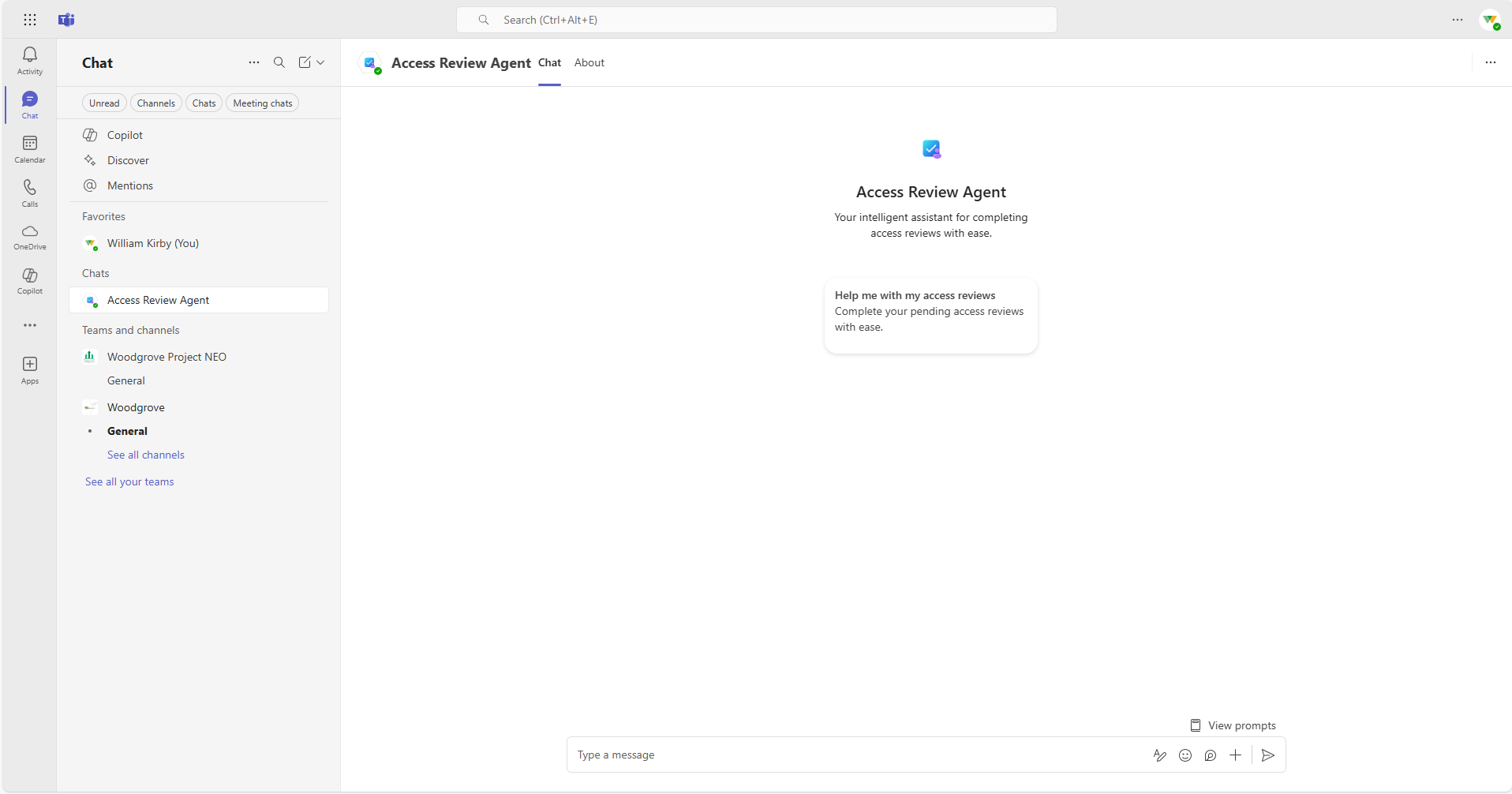 Screenshot of the initial prompt in the access review agent chat.