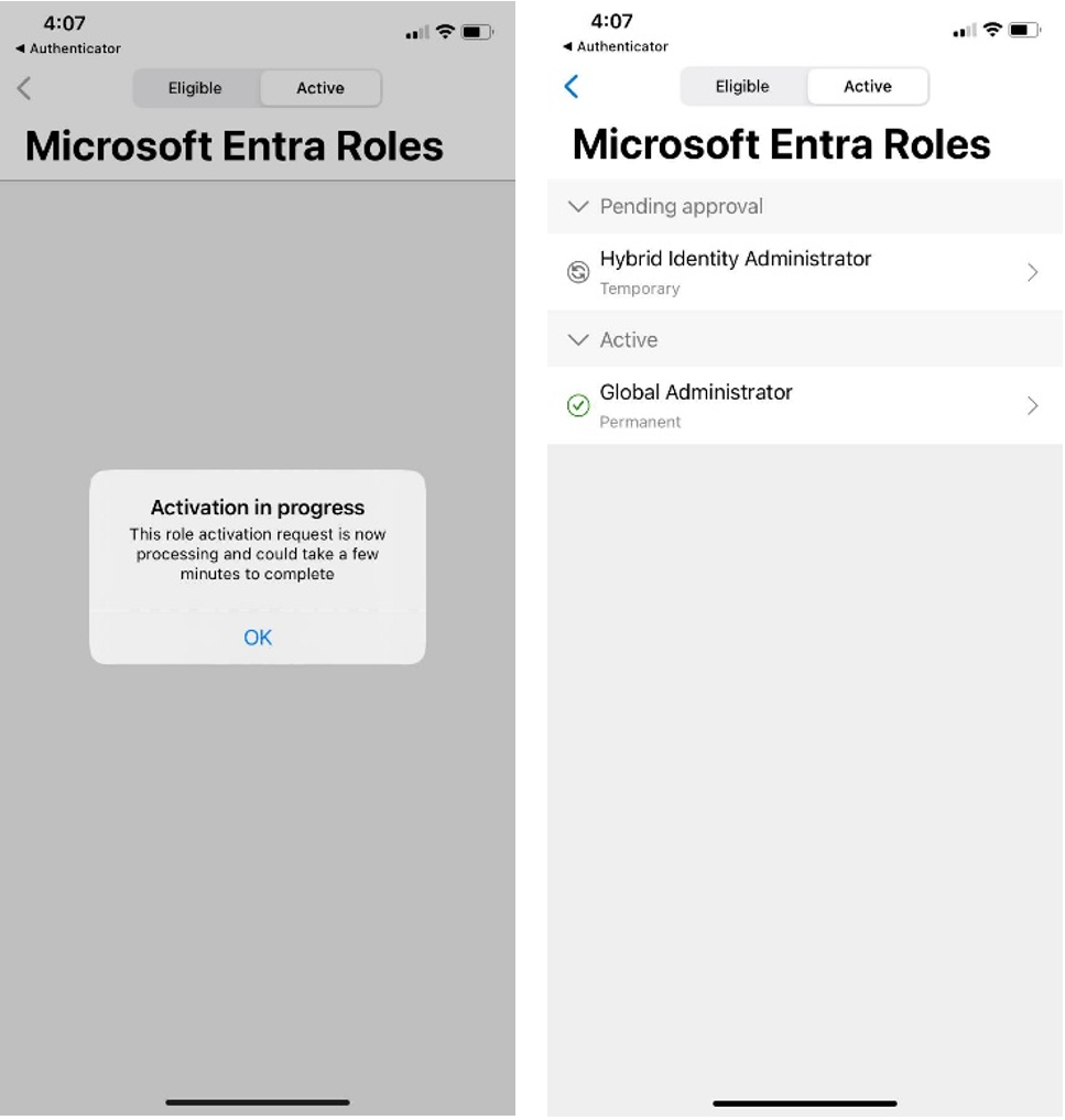 Screenshot of the mobile app showing the user's role status.
