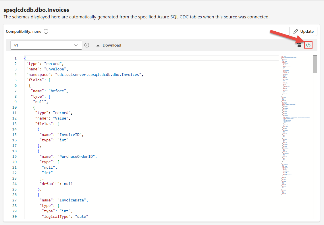 Screenshot that shows the JSON schema view.