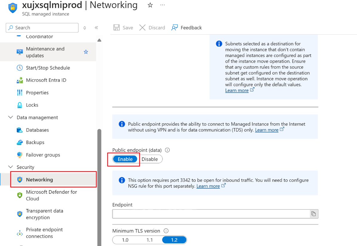 Screenshot that shows the Networking page with Public endpoint option enabled.