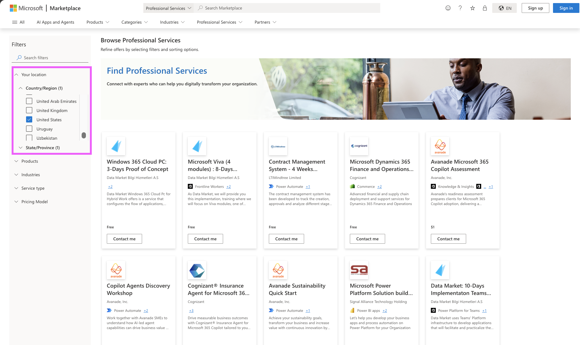 Screenshot that highlights the Professional Services filters pane.