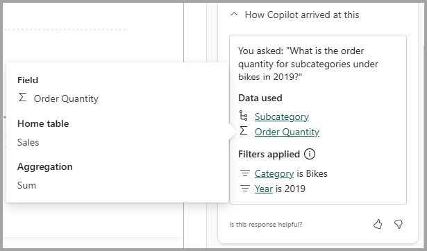 Screenshot showing the data details for a visual answer.