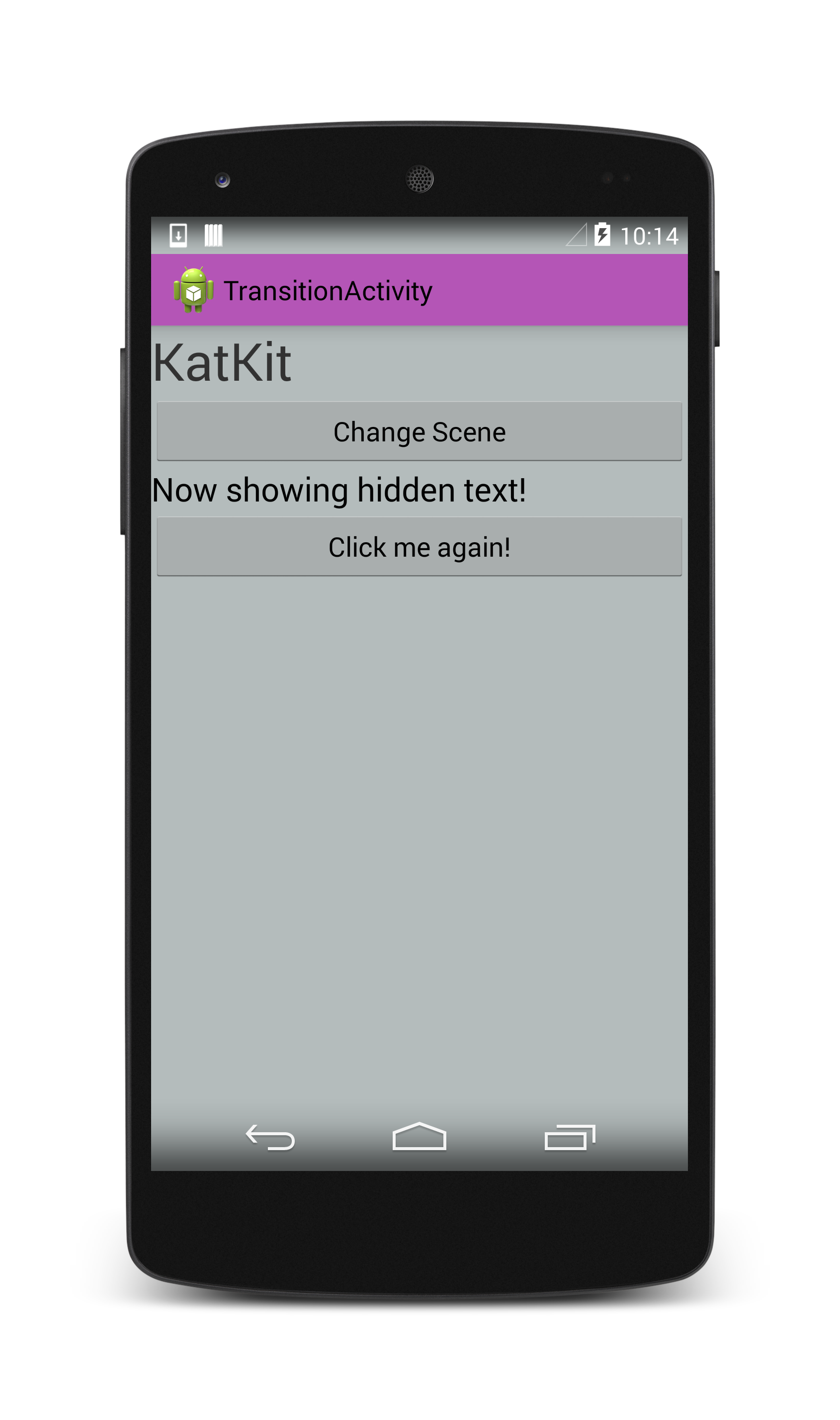 Screenshot of app after the animation completes
