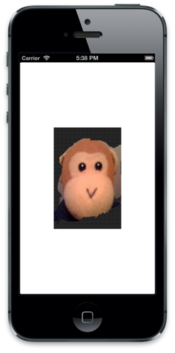 A sample app run