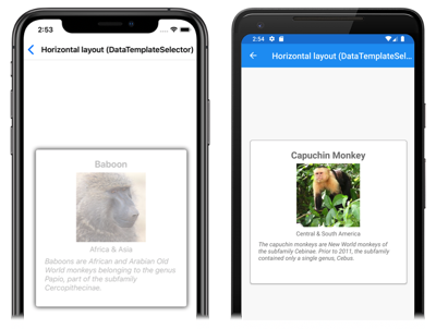 Runtime item template selection in a CarouselView Screenshot of CarouselView runtime item template selection, on iOS and Android
