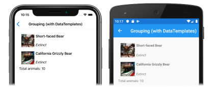CollectionView with customized group footer Screenshot of a customized group footer in a CollectionView, on iOS and Android